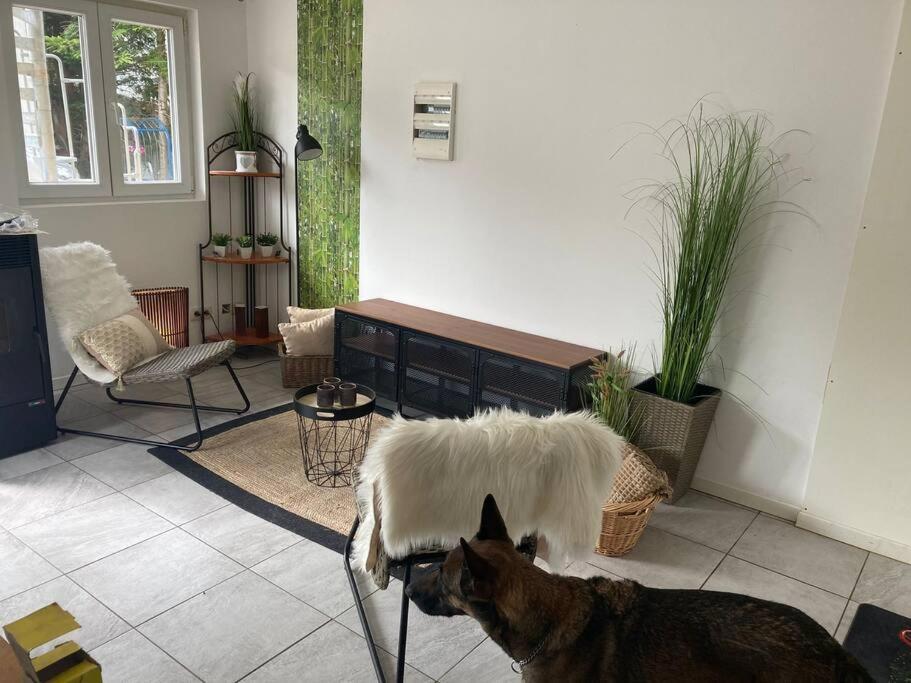 Appartamento Perle De Coton Pour Duo De Charme Anhée Esterno foto